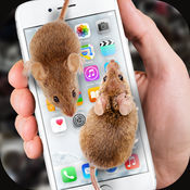 手机养老鼠软件