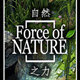 自然之力2中文补丁