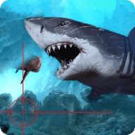 鲨鱼猎手3D v1.1.6
